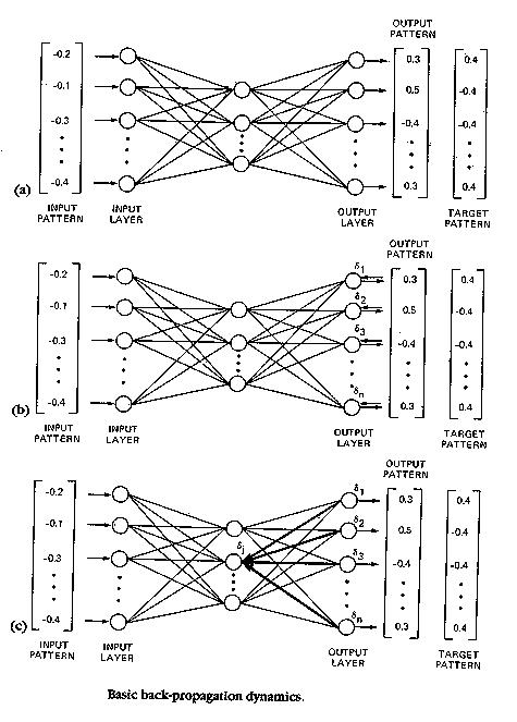 [BACKPROPAGATION DYNAMICS]