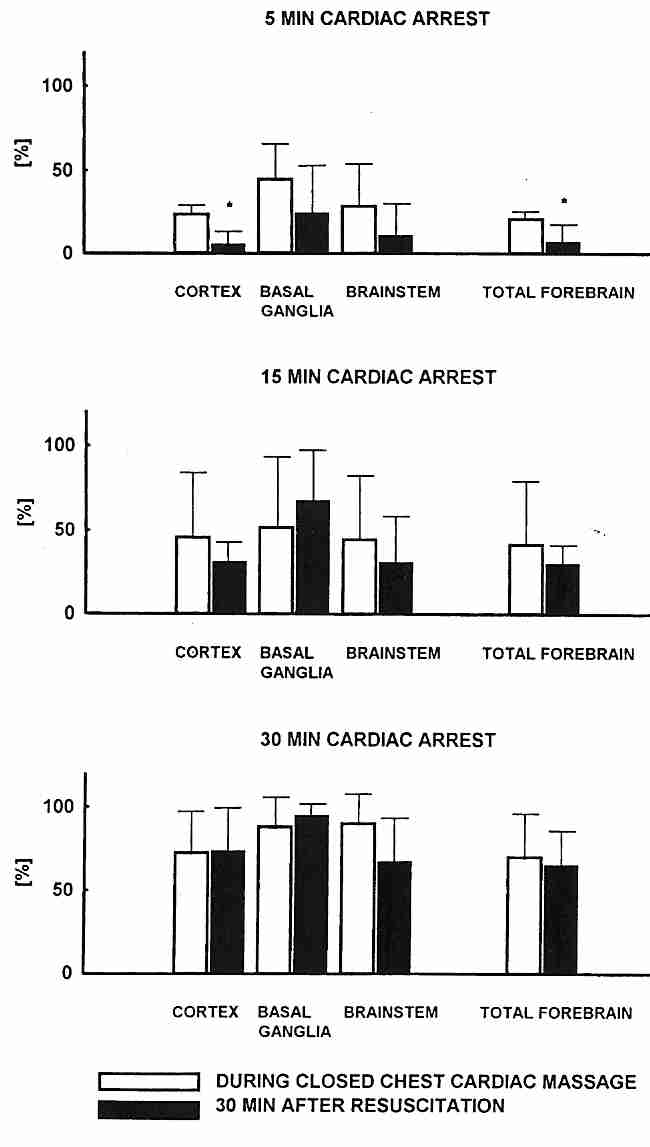 Brain "No−Reflow" in Cardiac Arrest