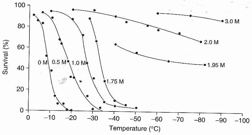 Supervivencia de glóbulos rojos en glicerol en función de la temperatura