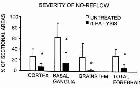 Cerebro "No-Reflow" con "Clot-Buster"