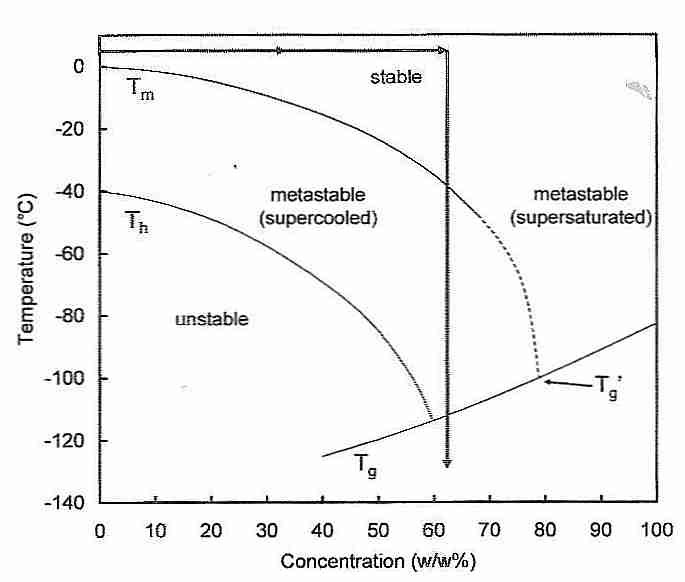 Cryoprotectant phase diagram