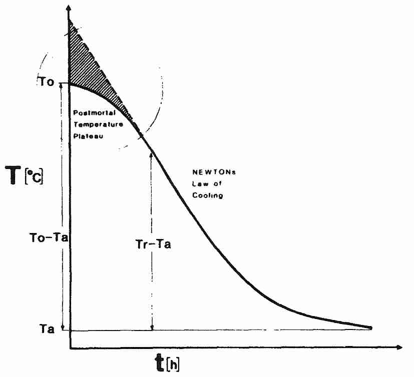 Natural human body post-mortem cooling curve