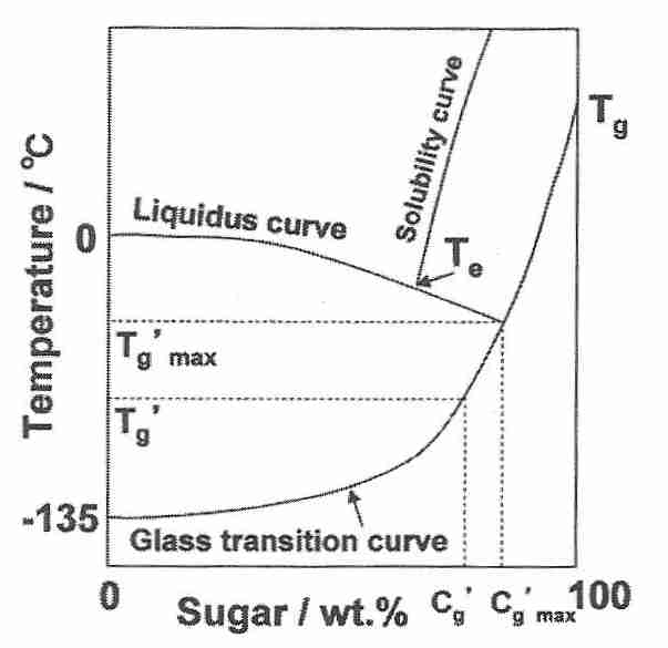 Glass transition