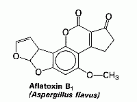 [Aflatoxin B<SUB>1</SUB>]
