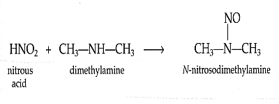 [Formation of N-nitrosodimethylamine]