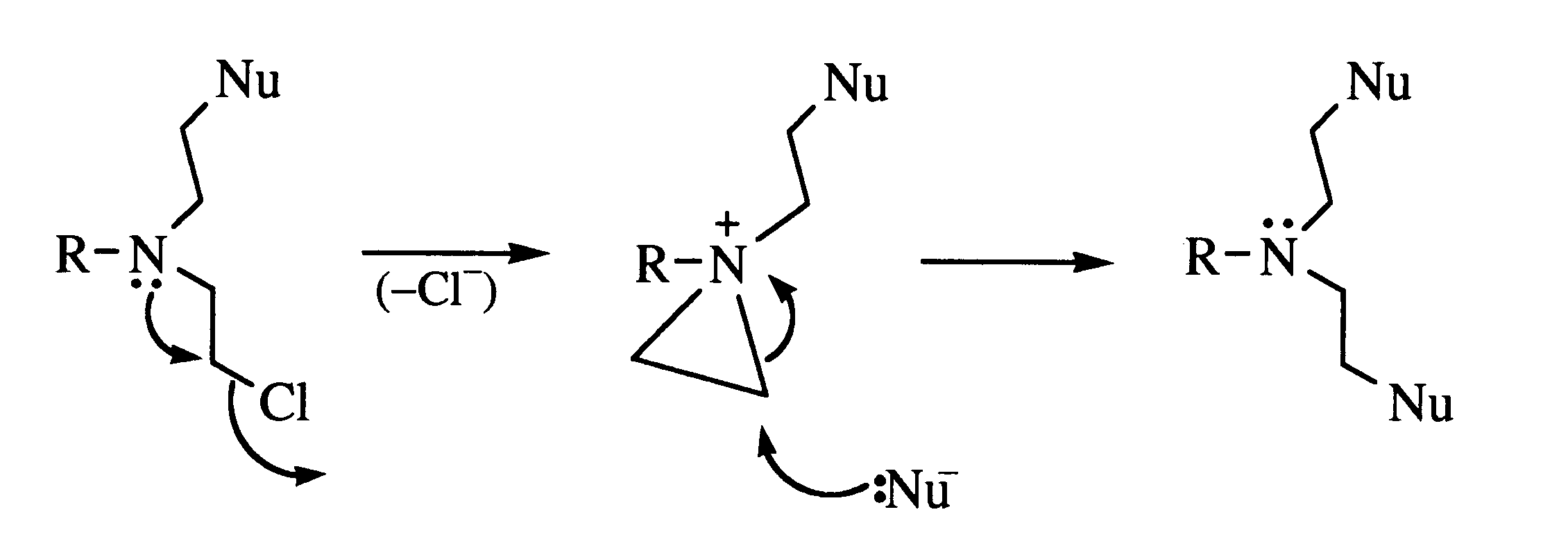 [Alkylation of Two Nucleic Acid Bases by Nitrogen Mustard]
