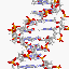 [DNA IMAGE]