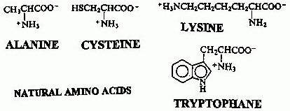 [AMINO ACIDS]