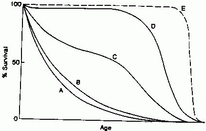 [GRAPH OF SURVIVAL AGAINST AGE]