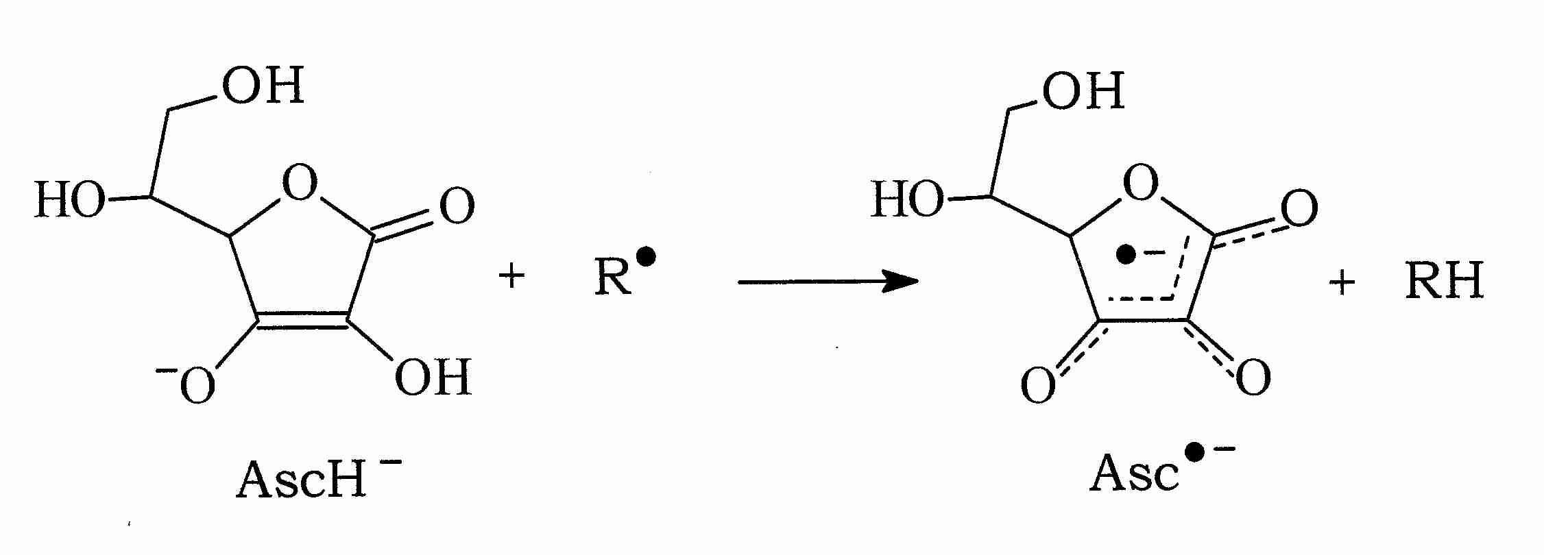 Ascorbate Free Radical Formation