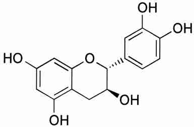 [Catechin]