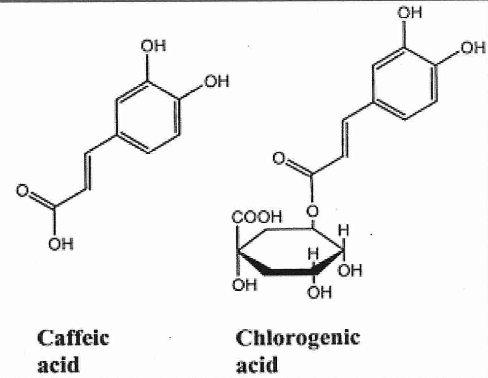 Acid это. Кофейная кислота структурная формула. Хлорогеновая кислота структурная формула. Феруловая кислота формула. Кофейная кислота формула химическая.