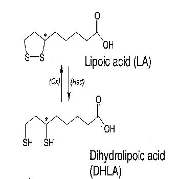 Lipoic Acid and DiHydroLipoic Acid