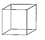 [ Necker Cube ]